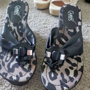 Carlos Santana wedge